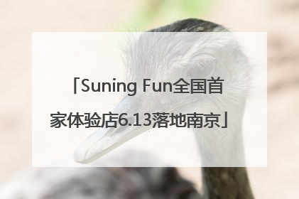 Suning Fun全国首家体验店6.13落地南京
