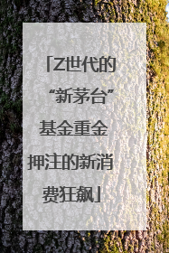 Z世代的“新茅台” 基金重金押注的新消费狂飙